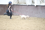 SBM_001639