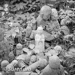 Jizo on Sado Island portfolio