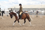 SBM_14658