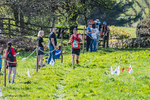 The Finish-463