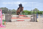 BPP_3933