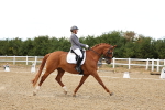 SBM_007559