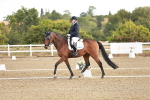 SBM_008634