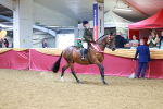 SBM_06433