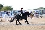 SBM_08779