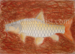 Golden Mahseer - India.