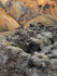 Lava, moss and rhyolite