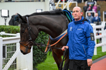 121225-Race 1-Lisbane Park-4294