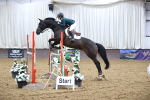 SBM_008350