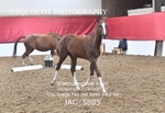 JAC_5885