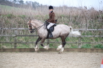 SBM_007250