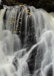 Fairy Glen Rosemarkie detail
