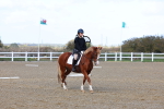 SBM_000883