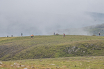 Rydal Round-340