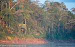 Manu River