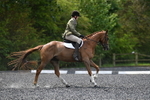 WJ5_9979