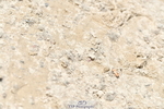 260630A-131355-06575