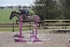 BPP_4964