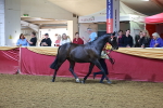 SBM_14950