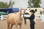 SBM_07640