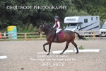 BPP_9878