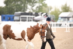 SBM_20108