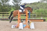 CLASS 18 SUN Senior Newcomers/ 1.10m Open portfolio