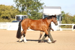SBM_08303