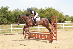 SBM_003961