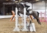 BPP_8332