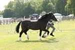 SBM_02294