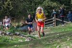 Dovedale-550