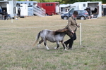 WJ6_6858