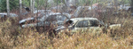 WRECKING YARD PANORAMA, NOVEMBER 2018