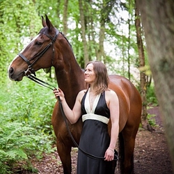 Exracehorse_plean4