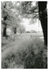 Nettles Fence House