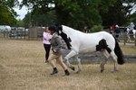 WJ6_8377