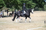 WJ7_0933