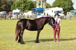 SBM_00909