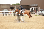 SBM_008269