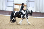 Class 8-9 - MQ Open Prelim 2 - Novice 1 portfolio