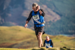 Sale Fell-302