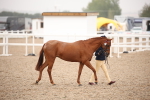 SBM_20103
