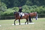 WJ7_7688