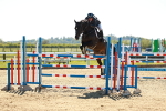 SBM_001981