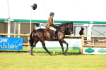 SBM_10895