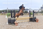 BPP_2553