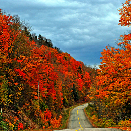 On the Kingston Peninsula and near the shores of the Kennebecasis River - a country road winds it's way through Autum…