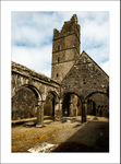 moyne abbey-0287