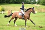 Cls 47 Foxhunter 2nd Round portfolio